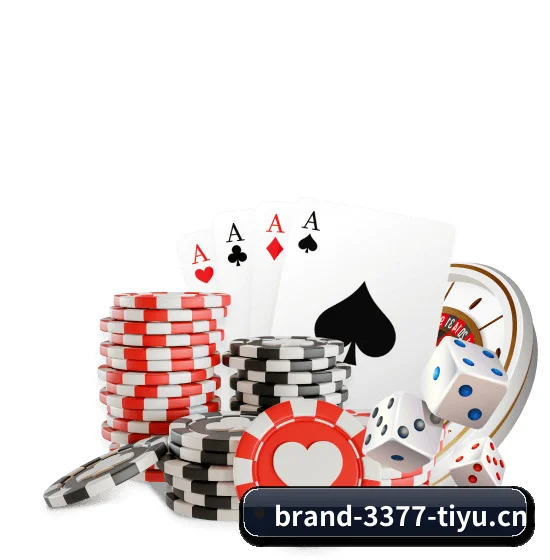 3377体育官网 APP